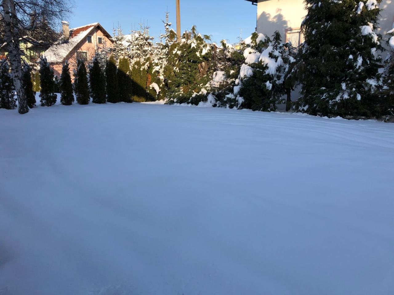 Holiday Home Vila Tejic Zlatibor Ngoại thất bức ảnh