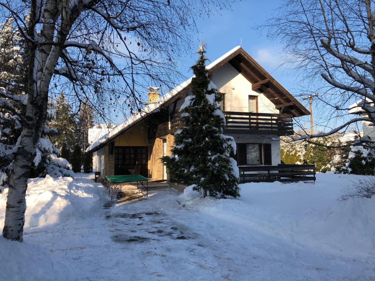 Holiday Home Vila Tejic Zlatibor Ngoại thất bức ảnh