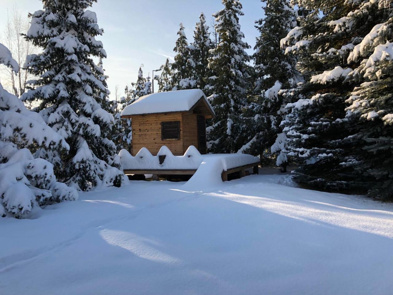 Holiday Home Vila Tejic Zlatibor Ngoại thất bức ảnh