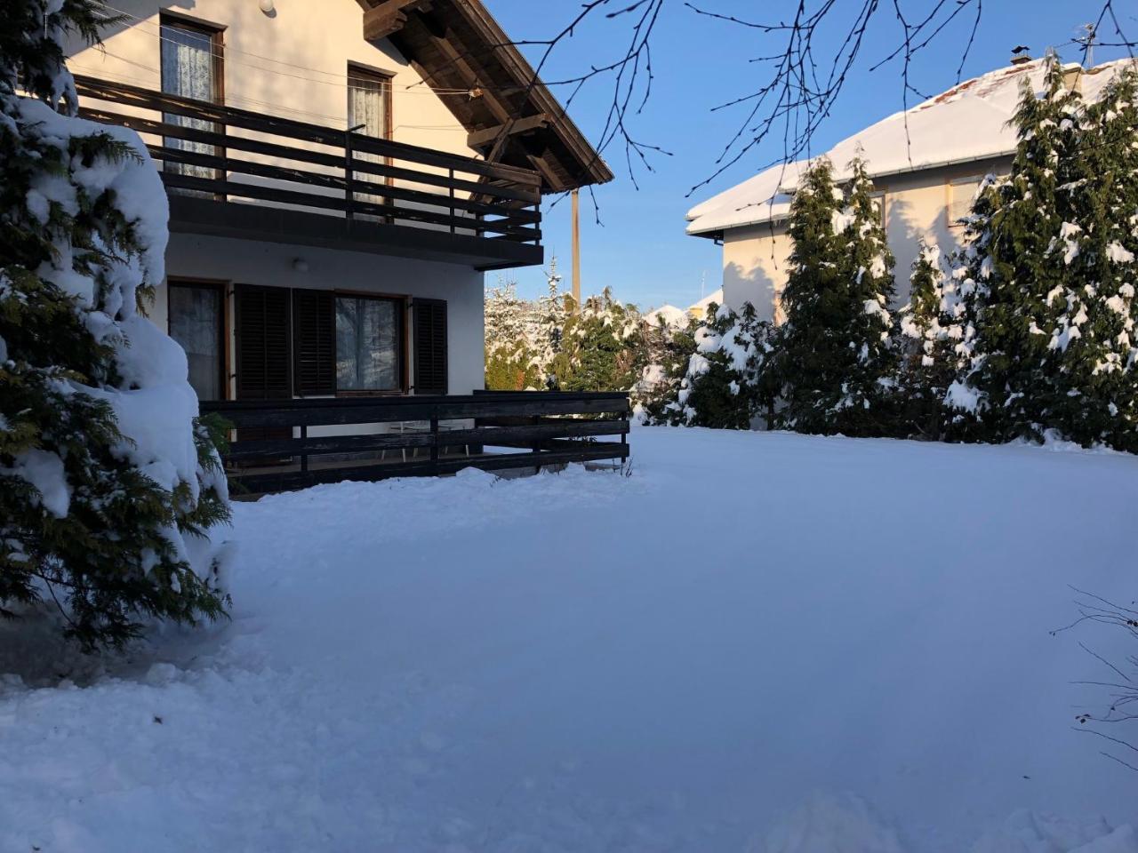 Holiday Home Vila Tejic Zlatibor Ngoại thất bức ảnh
