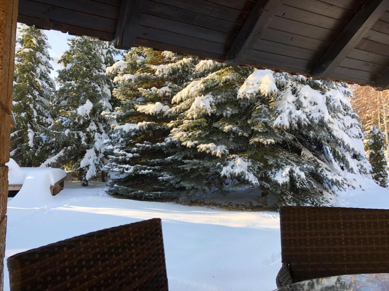 Holiday Home Vila Tejic Zlatibor Ngoại thất bức ảnh